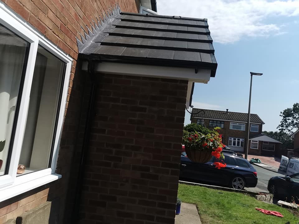 183074924_235570318355308_8201147652870939009_n