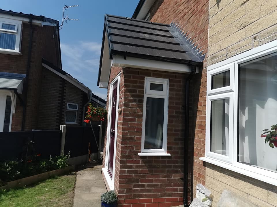 183139383_235570275021979_341627672904611559_n