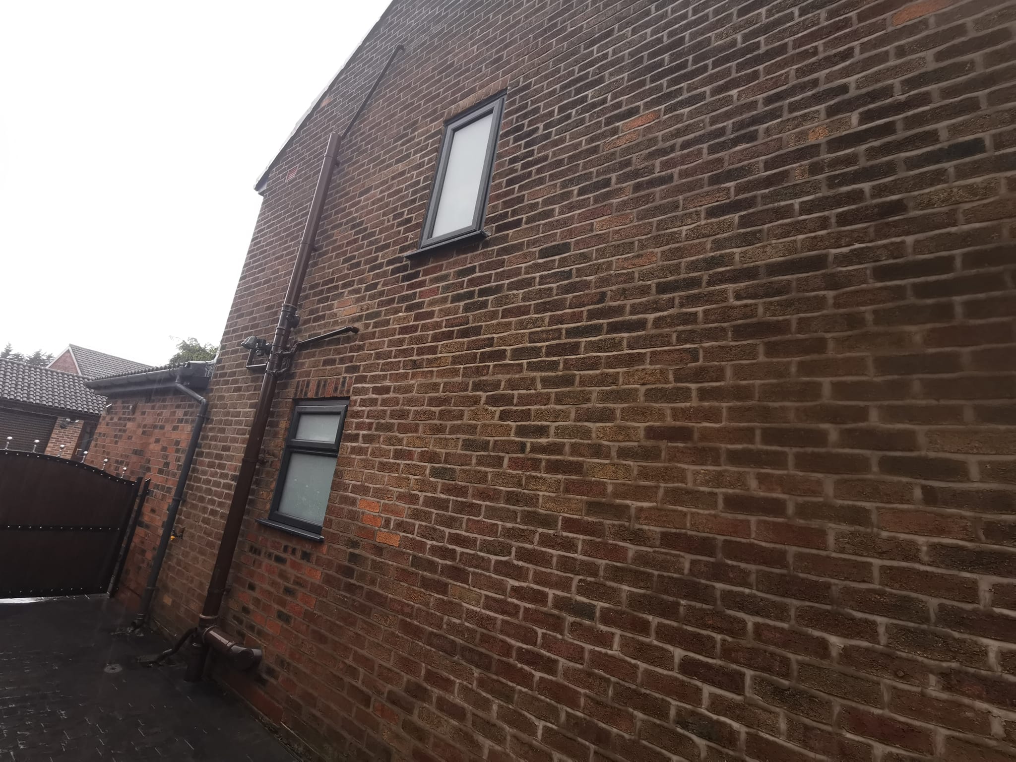 480467343_1123246982920966_8432773867634064331_n