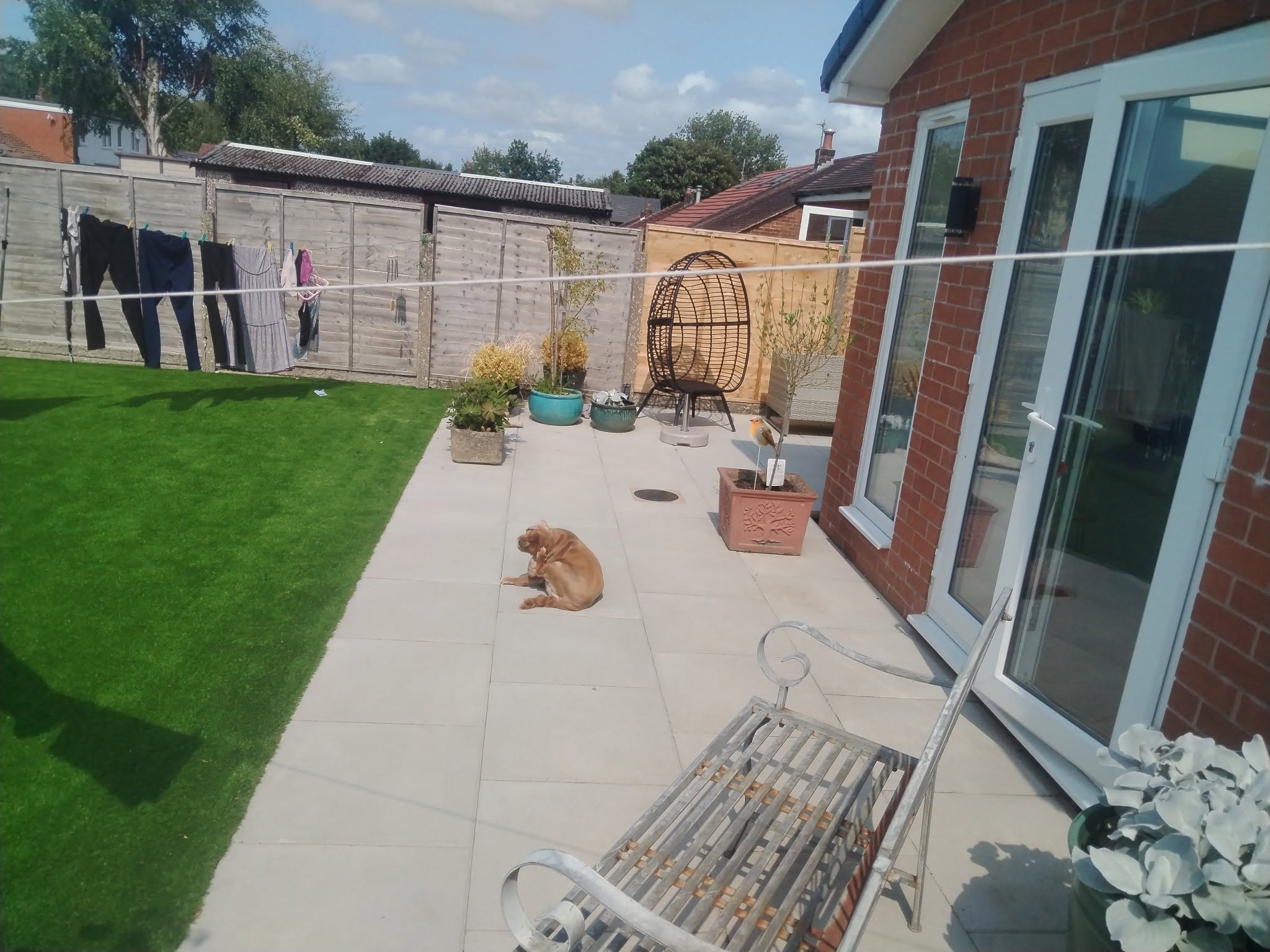 503812408_1205779831334347_8559664077288721470_n