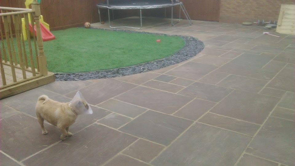 506306616_3327363537406020_4731887002835836473_n