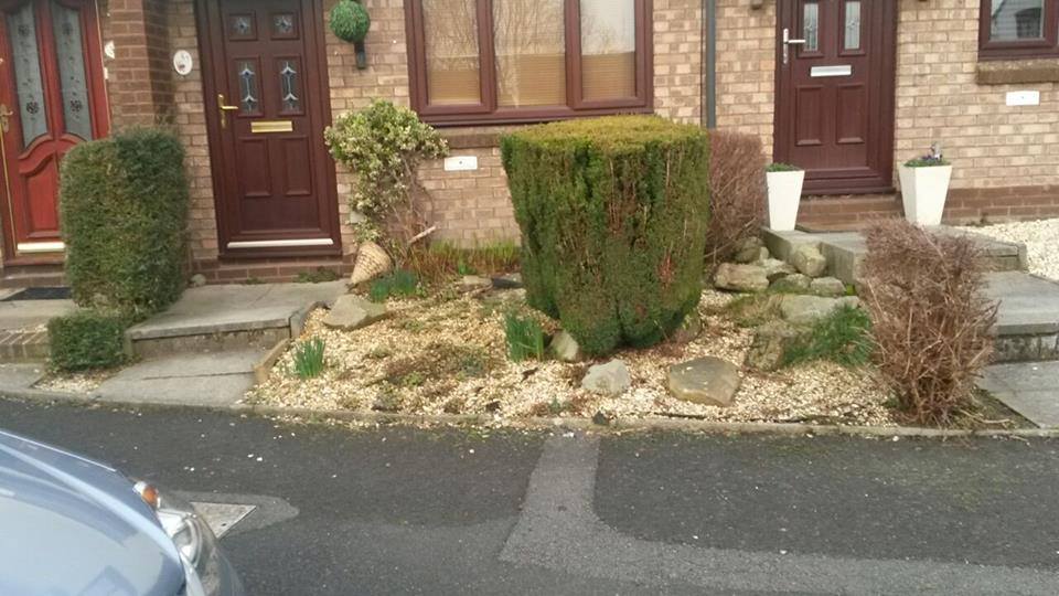 506310018_3325709704238070_546687453822761844_n