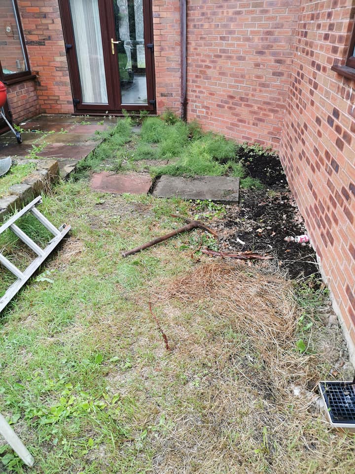 68747780_1471086386367087_6435152424469528576_n